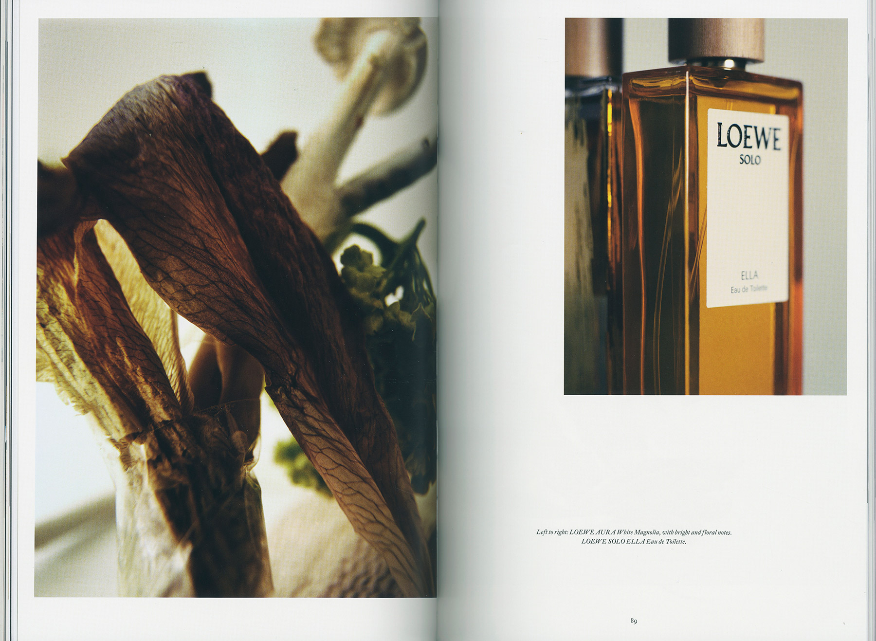 Metal 44 Loewe Perfumes Special Cover Story | Mónica Zafra