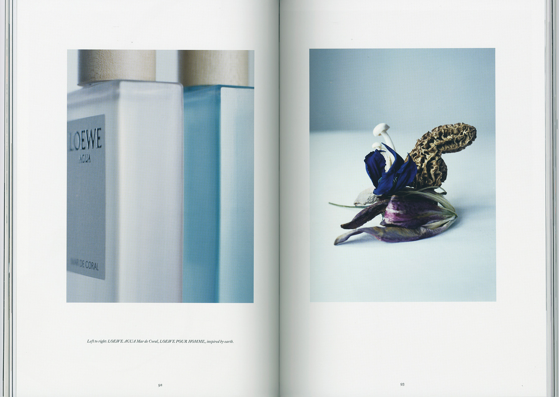 Metal 44 Loewe Perfumes Special Cover Story | Mónica Zafra